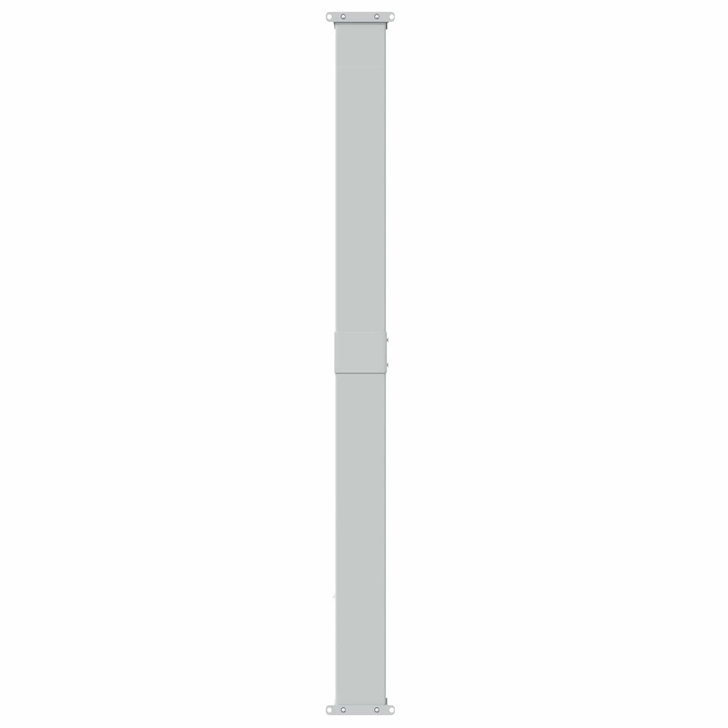 Retractable Side Awning Anthracite 300 x 180 cm Polyester