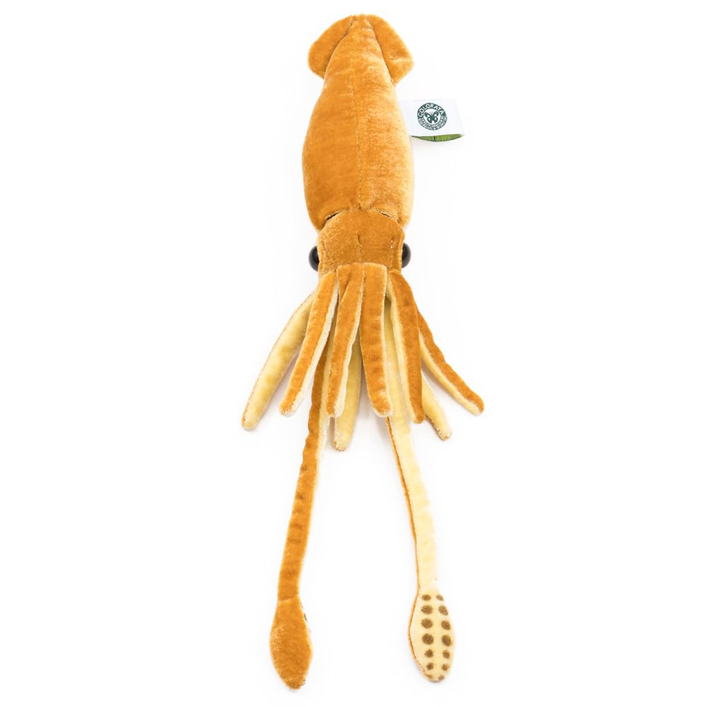 Calorata Giant Squid Plush Toy (Smallwith Ball ChainSoft Touch) Realistic Squid Toy Doll Gift Present Birthday (Twice Tested) Christmas Present