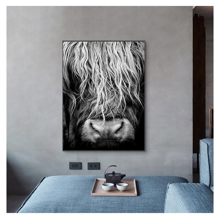 Cattle  Print On Canvas Wall Art Pictures Animal Painting for Living Room Home Decor Modern Abstract Scottish Highlander