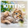 Calendar 2025-2026 Cute Kittens Wall Planner, Adorable Cat Organizer, 16-Month Hanging Schedule Sep 2025–Dec 2026, 12x12 In