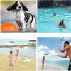 Hunde flying disc,Gummi flying disc,Hunde Scheiben, perfekt fr Hundetraining