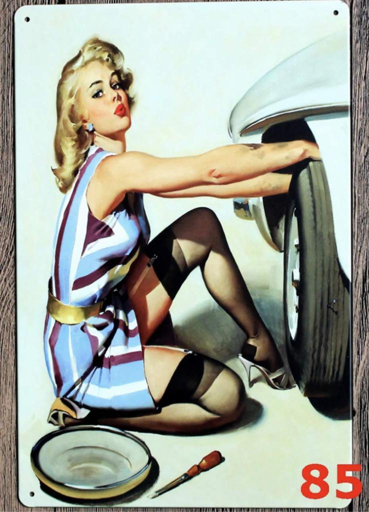 Donley Tin Sign American Beauty 5-Piece Set Wall Plate Retro Goods Interior (garage/car)