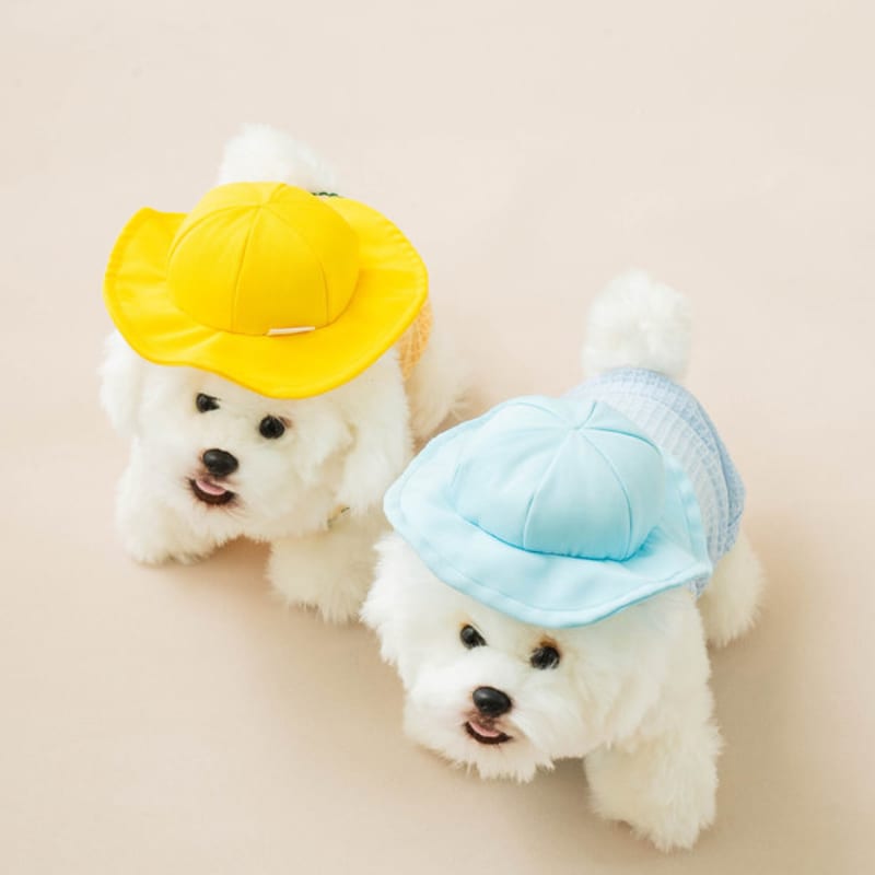 [Pet] Kindergarten Hat M