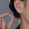 925 Sterling Silver Needle Zircon Earrings New Women's Niche Earrings Autumn and Winter High-end Earrings