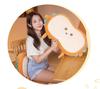 Cat Belly Memory Foam Summer Pillow - Cool Dormitory Cushion with Slow Rebound Core