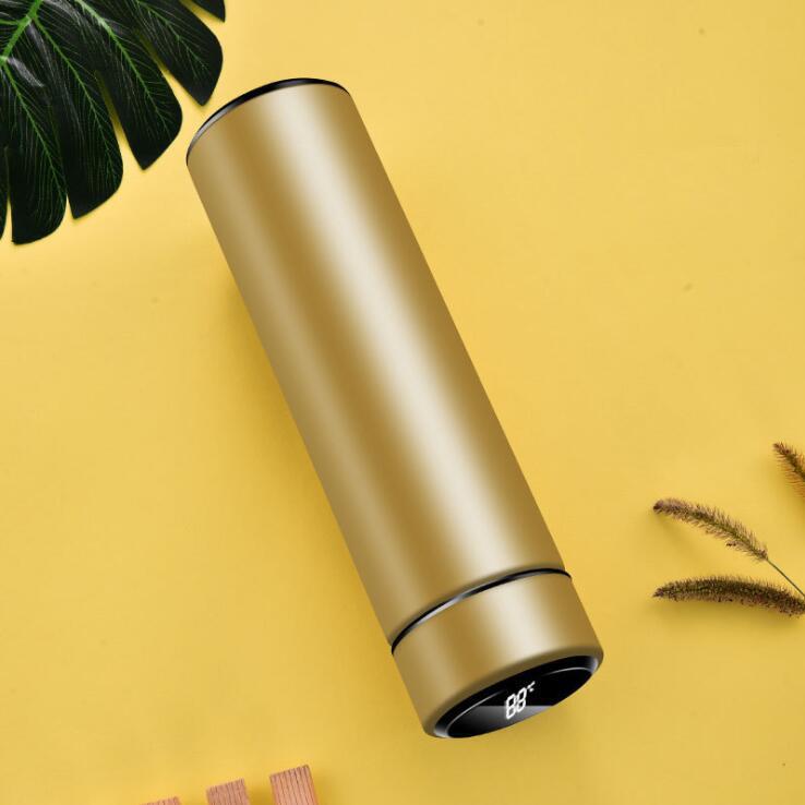 Double-layer Stainless Steel LED Temperature Display Smart Water Bottle with Accurate Readings