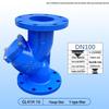 DN100 Ductile Iron Y-Strainer Flange Filter