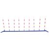 Dog Training S-Type Slalom Pole