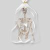 Skeletons For Halloween 2ft Halloween Outdoor Skeletons Human Bone Decorations Skull Props Foldable For Halloween Birthday