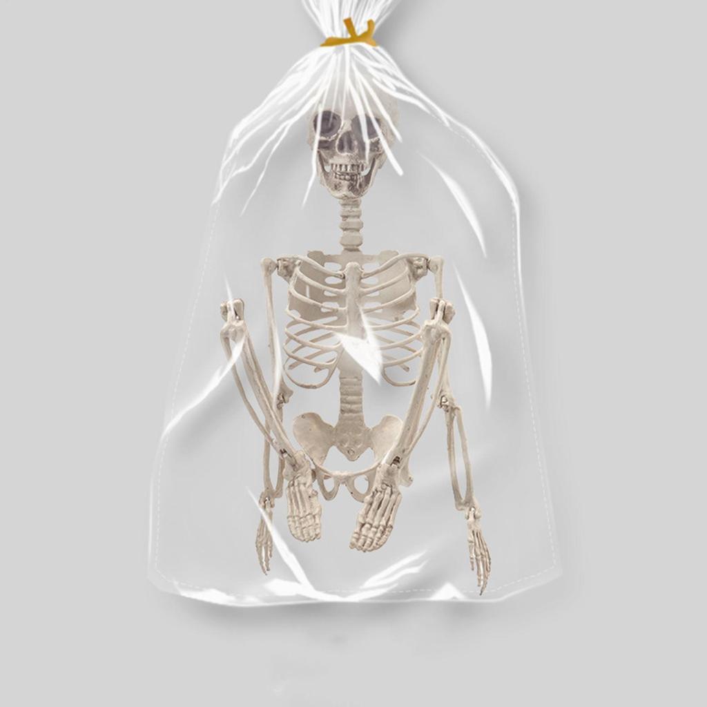 Skeletons For Halloween 2ft Halloween Outdoor Skeletons Human Bone Decorations Skull Props Foldable For Halloween Birthday