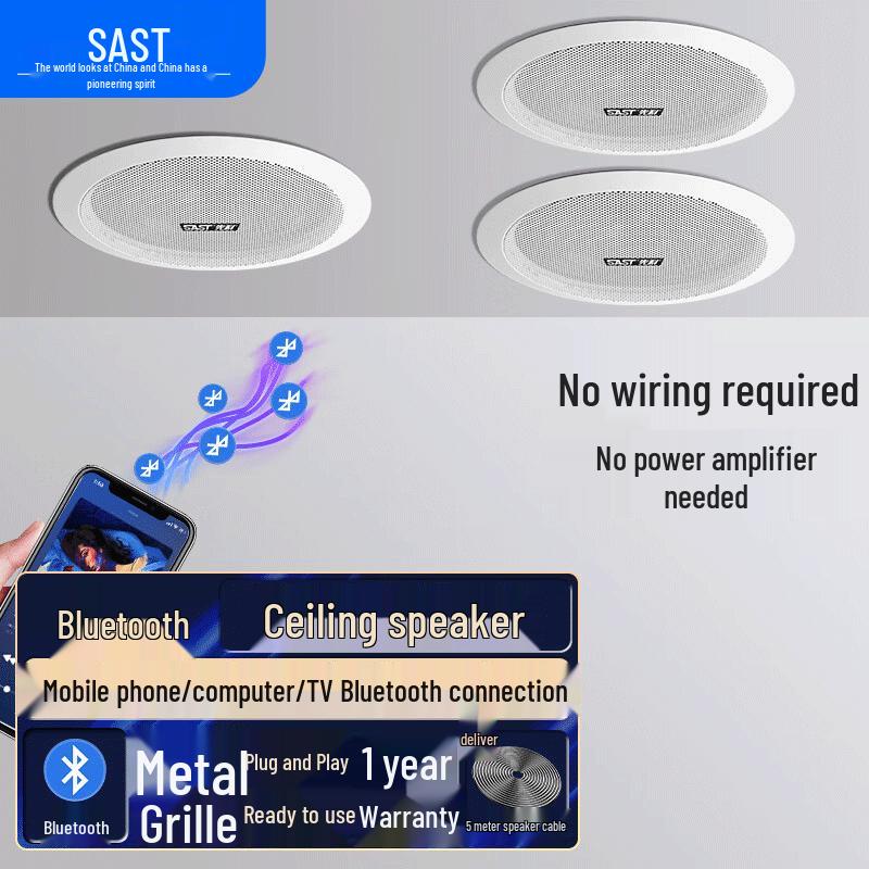 

SAST D30 Wireless Bluetooth Ceiling Speaker System