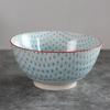Diruien Ceramic Large Noodle and Soup Bowl