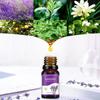 Aromaterapie vodou rozpustný olej Aromaterapie vhodná do zvlhčovače 10ml