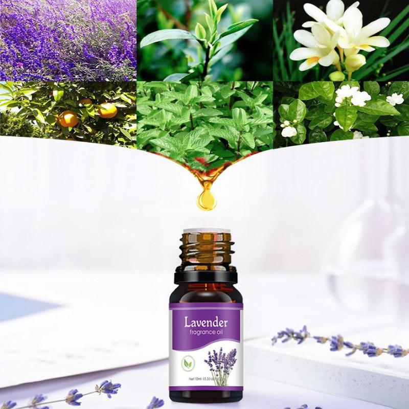 Aromatherapy Water Soluble Oil Aromatherapy Suitable For Humidifier 10ml