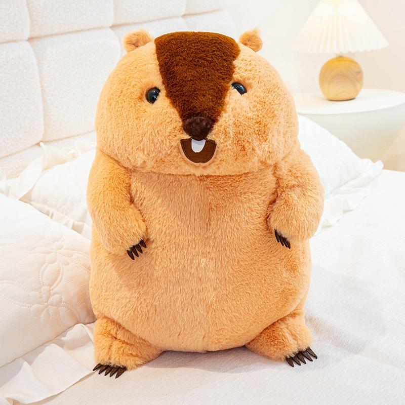 

Пухлая кукла сурка, плюшевая игрушка, кукла хомяка, кукла белки, детская успокаивающая тряпичная кукла, подарок на день рождения 34*23*23cm（0.45kg）