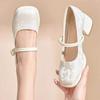 Chinesische Mary Jane Einzelschuhe Damen 2025 Frühling und Herbst neu nationaler Stil Retro Cheongsam Schuhe mit Pferdekleid dickem Absatz High Heels