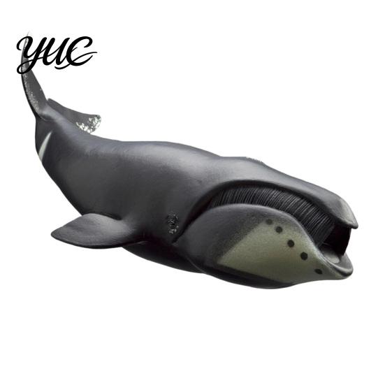 Educational Ocean Animal Toys Realistic Whale Model, Marine Creature Figurines, Beluga, Orca, Blue Whale, Gray Collectible Sea Life Figures