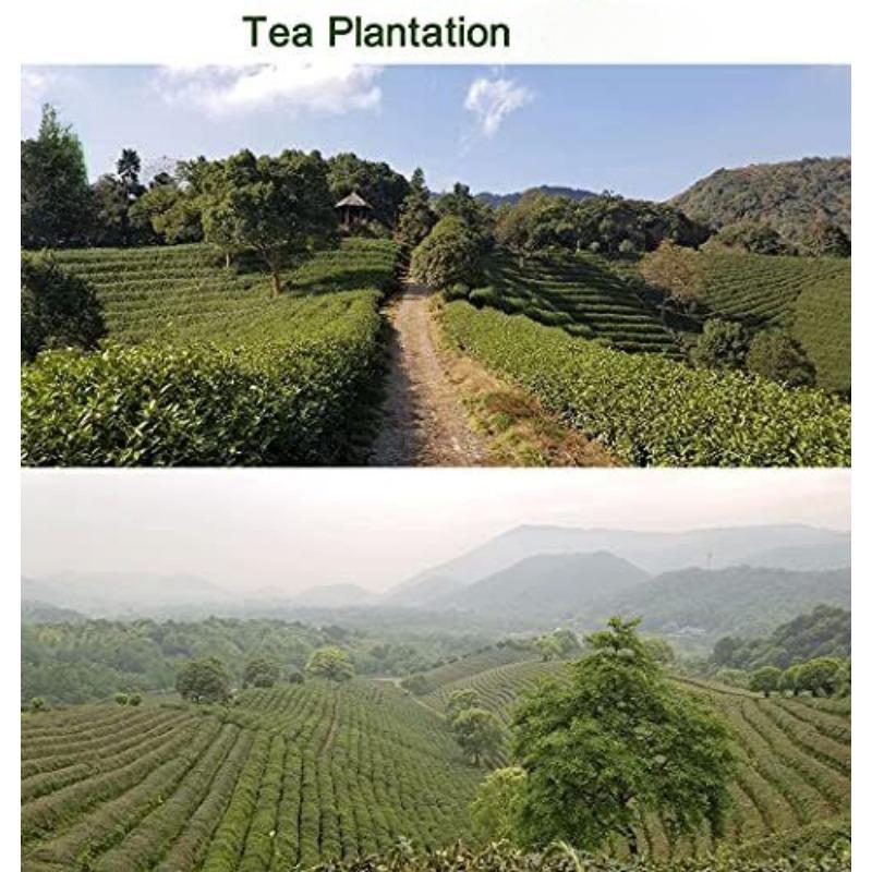 West Lake Longjing Tea Dragon Well Green Tea Leaves Pick Before Qingming 125g