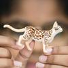 Schleich Farm World Bengal Ages Realistic Farm Animal Toy 13918 Figure, 3+,