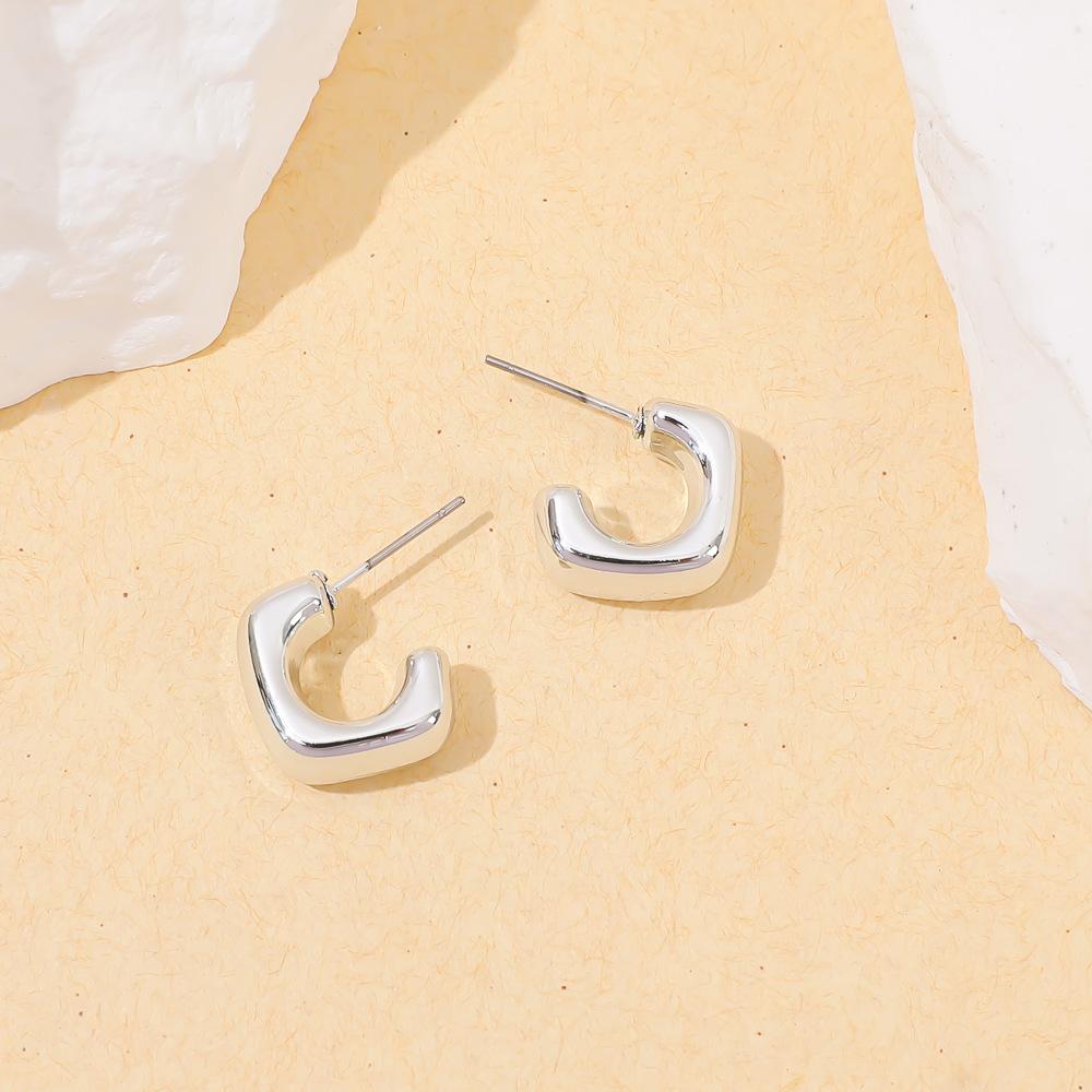 European and American irregular earrings geometric stainless steel personalized fashion stud earrings K gold titanium steel irregular light luxury