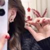 2026 Red Firework Beaded Earrings: Stylish & Luxurious High-End Accessory for Autumn/Winter