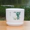 MOJY Indoor Plastic Succulent Planter