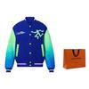 Louis Vuitton Mix Gradient Leather Bomber 1A9UJS