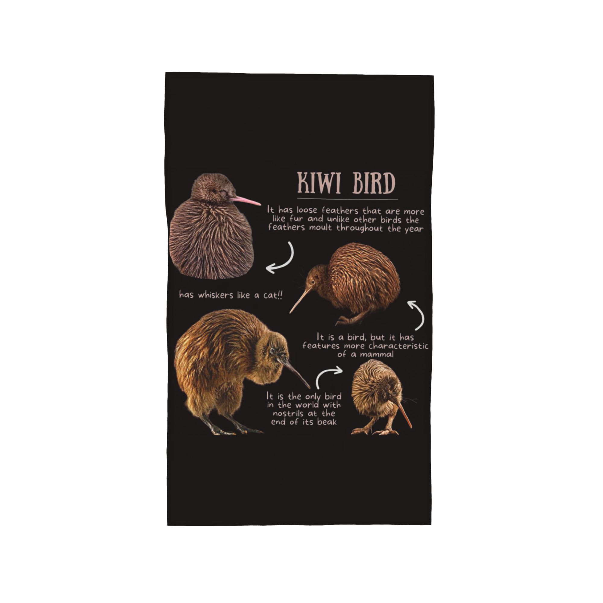 

Kiwi Bird Fun Facts Soft Face Towel Quick Dry Pool Bath Cotton Towels Absorbent W40*H60(CM)