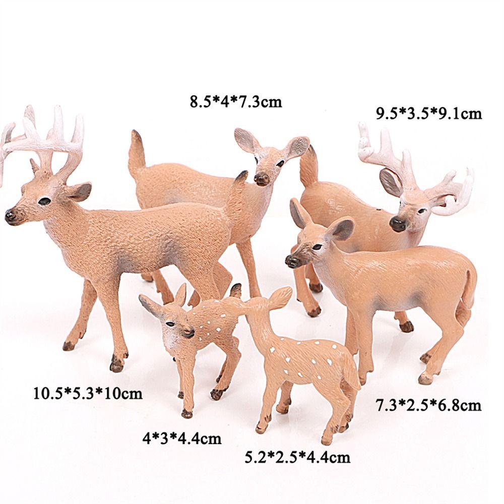Deer Lion Raccoon Miniature Figurines Animals Models Simulation Animals Animals Action Figures