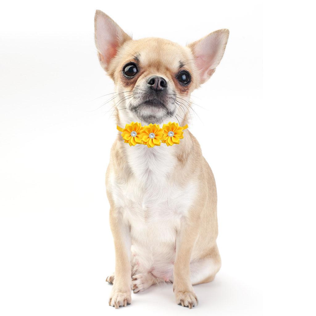 50/100pcs Cute Flower Dog Bow Ties Petals Mix Colors Dog Grooming Accessories Pet Flower Bows With Diamonds Cat Bowties Collar