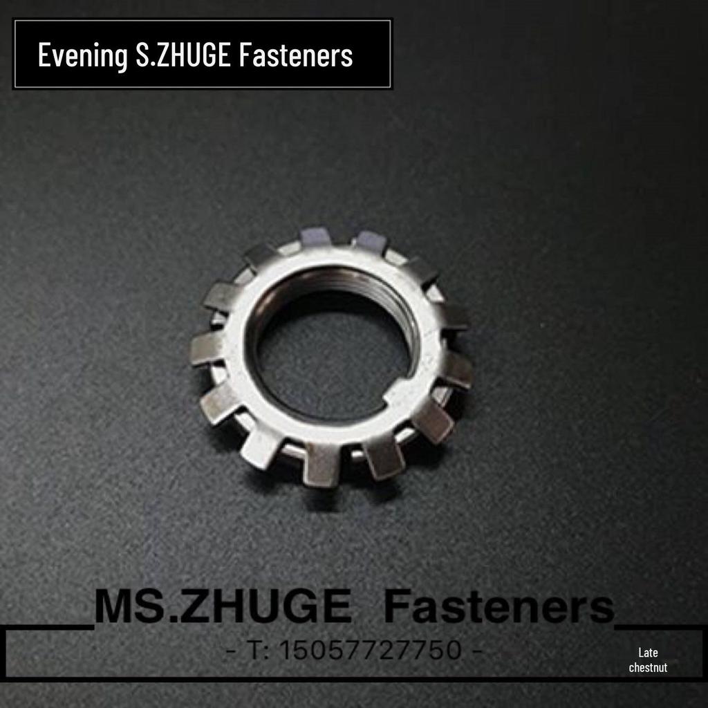 DIN5406 Multi-leg Lock Washer MB11 M55 MB12 M60 MB13 M65