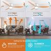 42 52 Inch Ceiling Fans With Lights Led 3 Color 6 Speeds DC Motor Fans Remote Control Low Floor Decorative Fans With Lighting