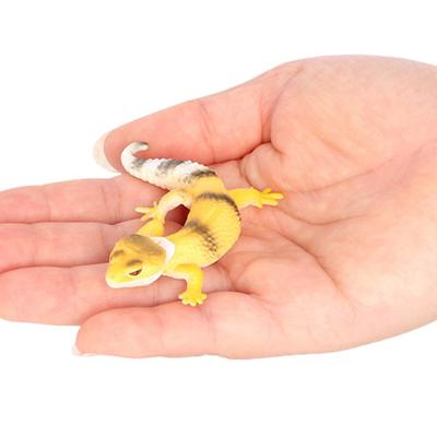 Simulation Reptile Model Tablescape Decoration Realistic Miniature Gecko Statues Figurine Ornament Halloween Funny Tricky Gecko Toy Animal Cognitive