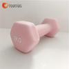 Yueji Tiger Hexagonal Frosted Dumbbells