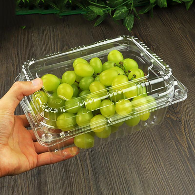 Homeglen Transparent Plastic Fruit Containers