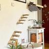 Natural Cats Climbing Ladder Wall Mounted Space Efficient Design Activity Toy For Small Home And Pet Entertainment HX6C