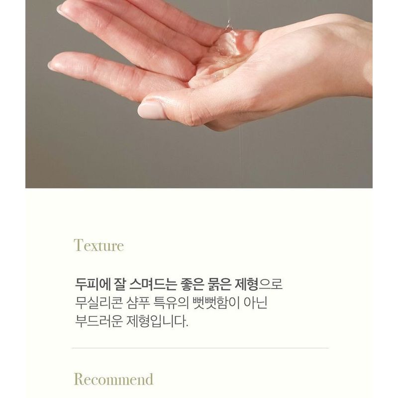 THE PURE LOTUS - Lotus Leaf Shampoo For Middle And Dry Scalp Jumbo