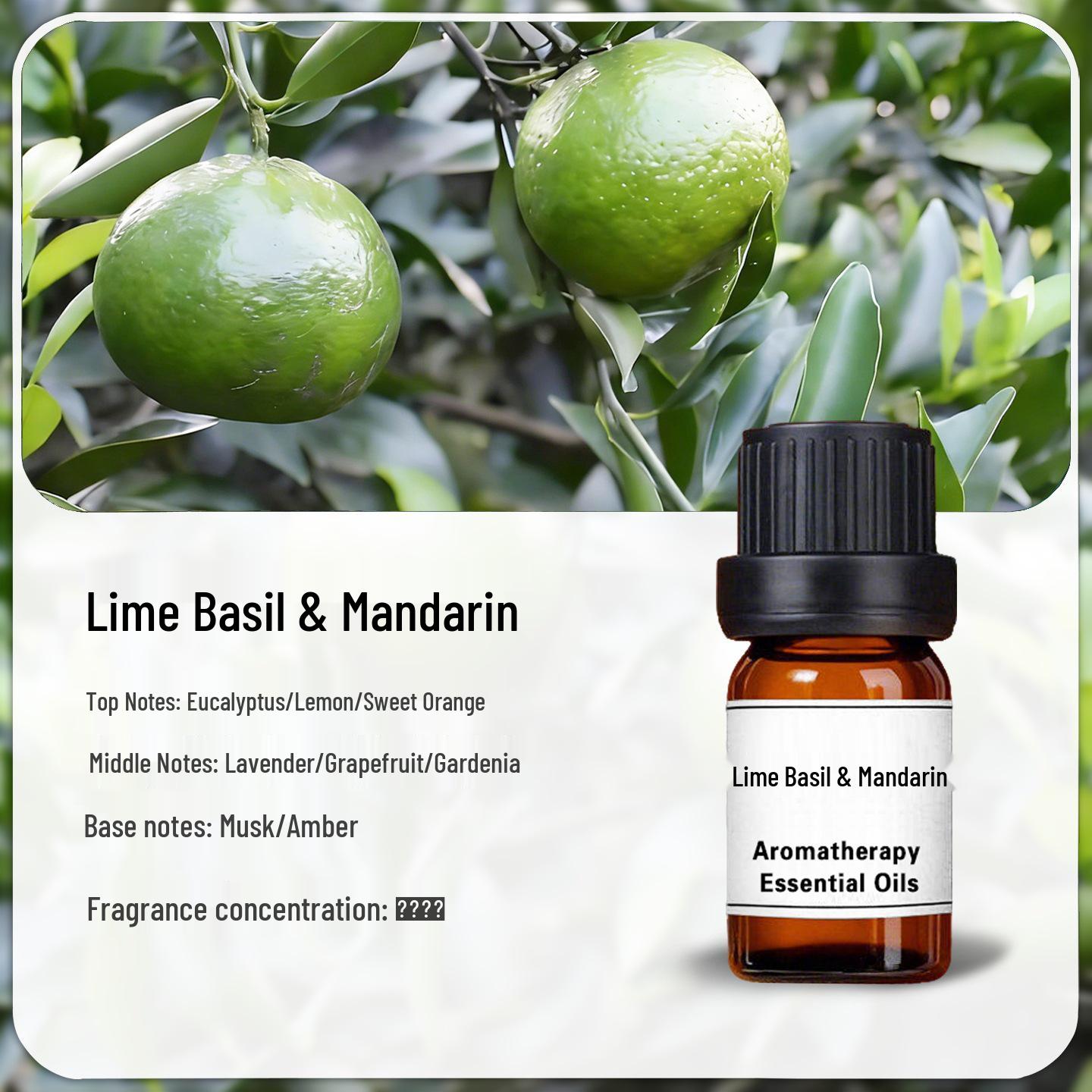 Givaudan Lime Basil & Citrus Aroma Diffuser for KTV, Hotel, Car - Essential Oil Samples Lime Basil and Citrus