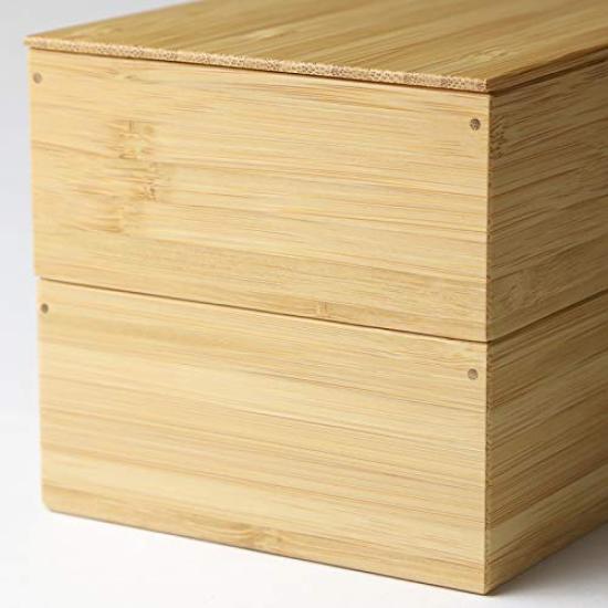 Kochosai Kosuge Two Tier Bento Box Red