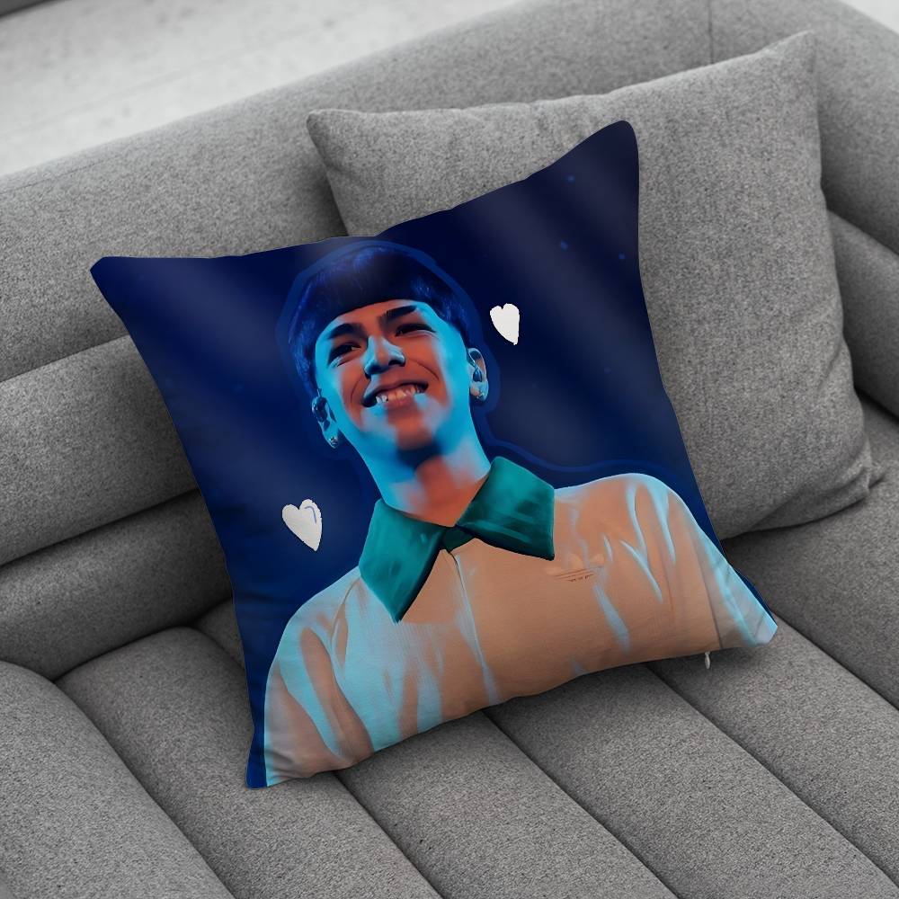MMilo J 111 Singer pillow cover living room sofa cushion cover bedroom room bed pillow cover home decoration
