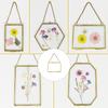 Glass Pressed Flower Frames Wall Hanging Tabletop Display Double Glass Picture Frames for Pressed Dried Flower Plant