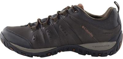 Hiking Shoes Woodburn II Waterproof WP (1553001-232) Brown