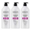 Kerasis Damage Clinic Damage Care Protein Shampoo Floral Powder Scent 980ml 3 Pcs