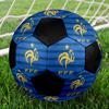 TAGLIA 5 Pallone da Calcio Federazione Calcistica Francese Colorato Per Tutte le Età Cucito a Macchina PVC Pronto per la Competizione Resistente Alta Rimbalzabilità