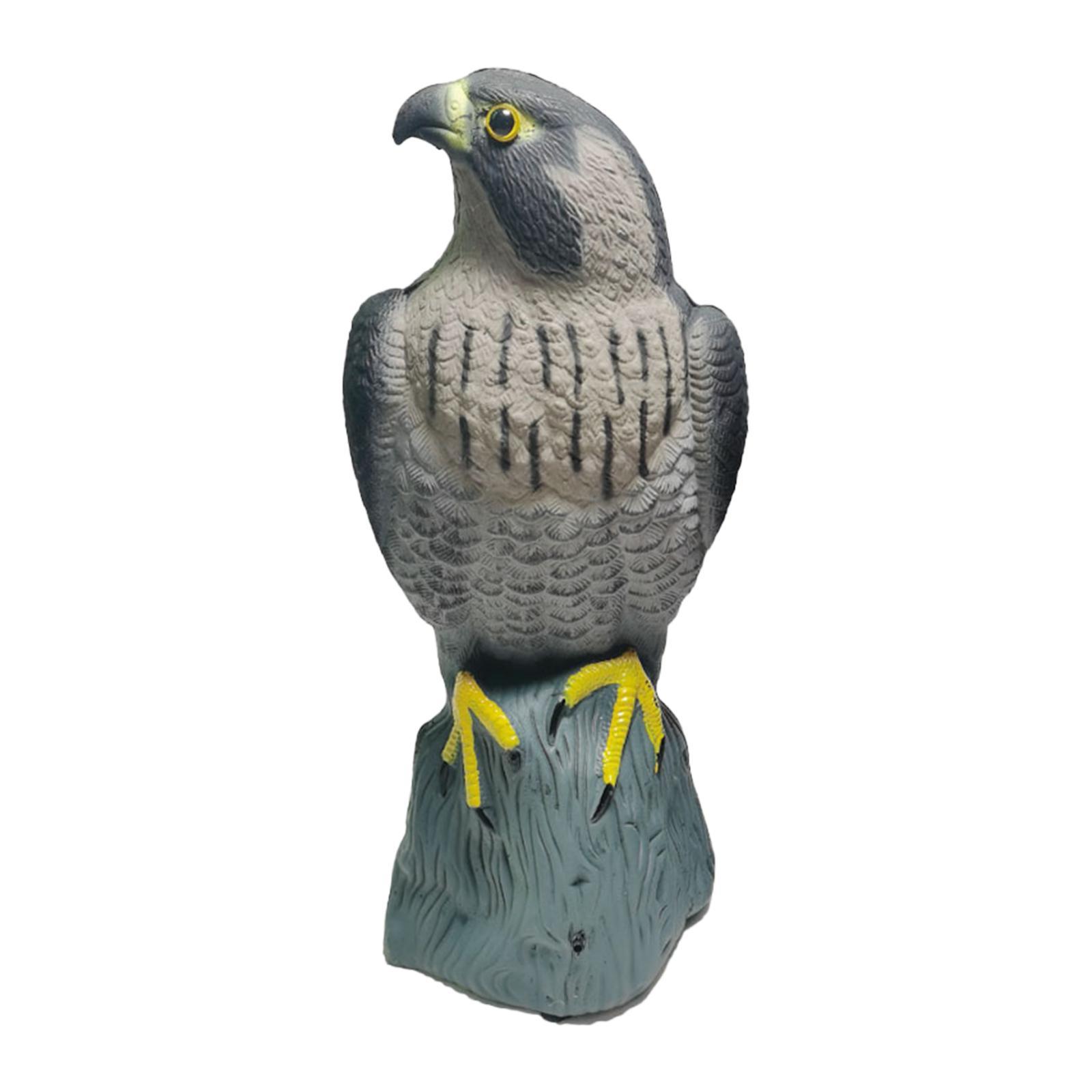 

Eagle Decoy Statue Scarecrow, Orchard Hotel Courtyard Lawn Garden Guardian Hawk