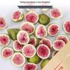 Forest Style Freeze-dried Fruit Cake Toppers: Fig, Lemon, Orange, Grapefruit