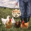 Mini Eggs Collecting Basket With 7 Pouches For Chicken Hen Duck Goose Eggs Ideal For Farmhouse Garden And Daily Household Use