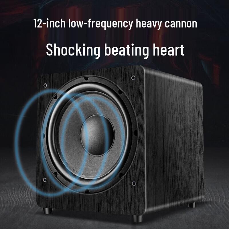 SANSUI SQ209 Home KTV Audio System CN Plug (adapter Included)