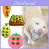 Carrot Fruit Plush Doll With Pp Cotton Filling For Kid And Pets
