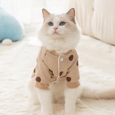 Gatos – Ropa
